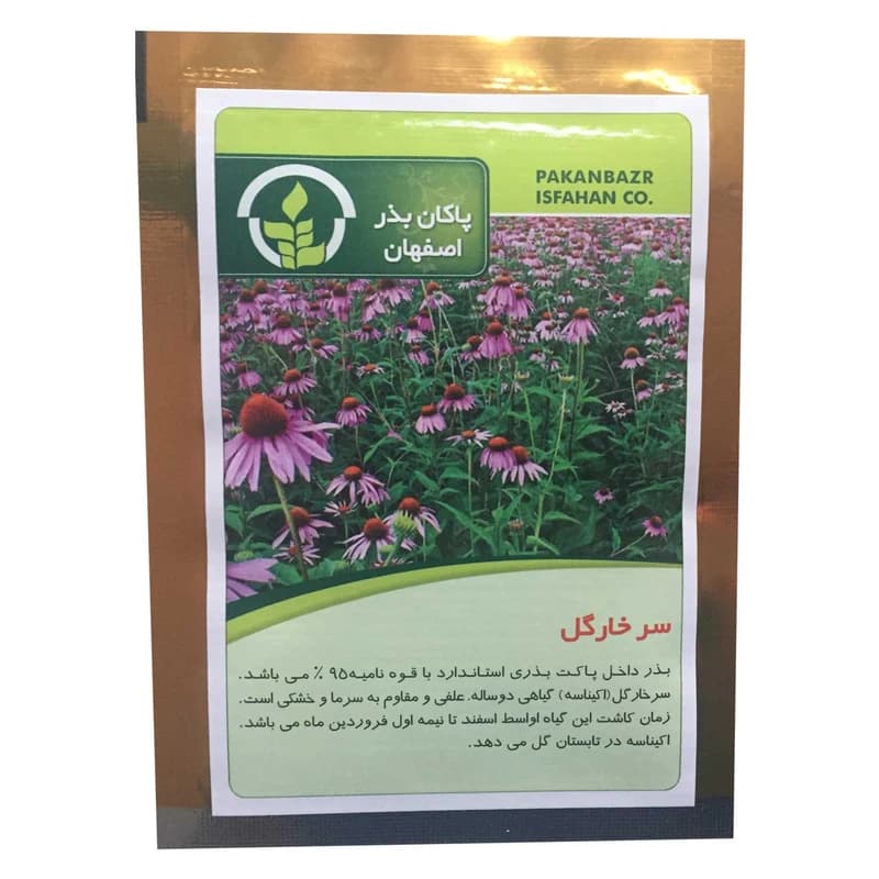 بذر سرخار گل — تصویر ۲