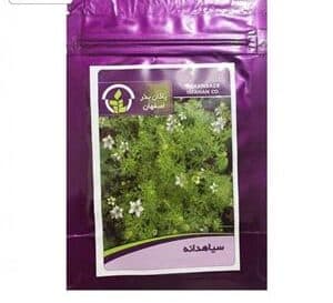 بذر سیاه دانه — تصویر ۲