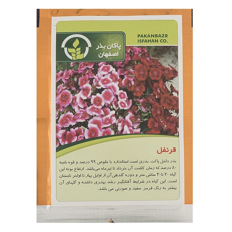 بذر قرنفل