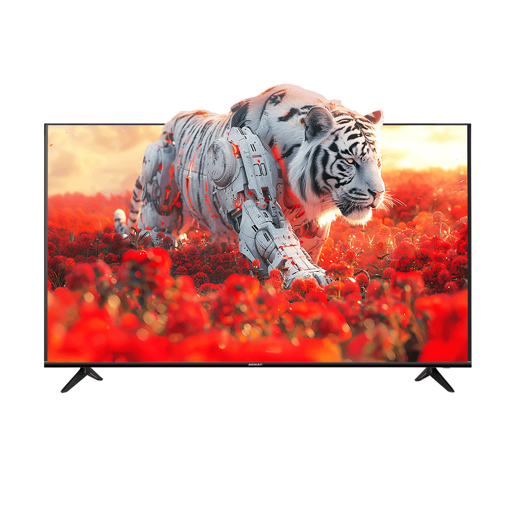 تلویزیون 55 اینچ QLED دنای مدل MC-55A4Q