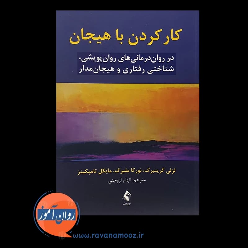 کار کردن با هیجان لزلی گرینبرگ – ترجمه اروجنی (نشر ارجمند) — تصویر ۶
