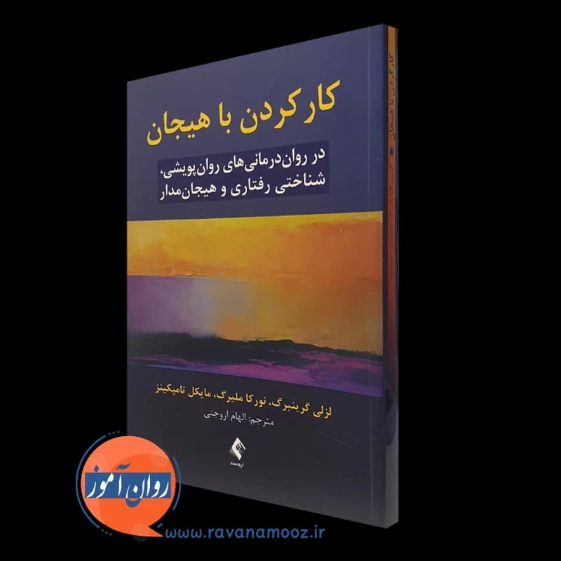 کار کردن با هیجان لزلی گرینبرگ – ترجمه اروجنی (نشر ارجمند) — تصویر ۵