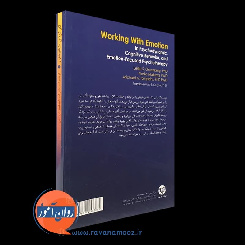 کار کردن با هیجان لزلی گرینبرگ – ترجمه اروجنی (نشر ارجمند) — تصویر ۷