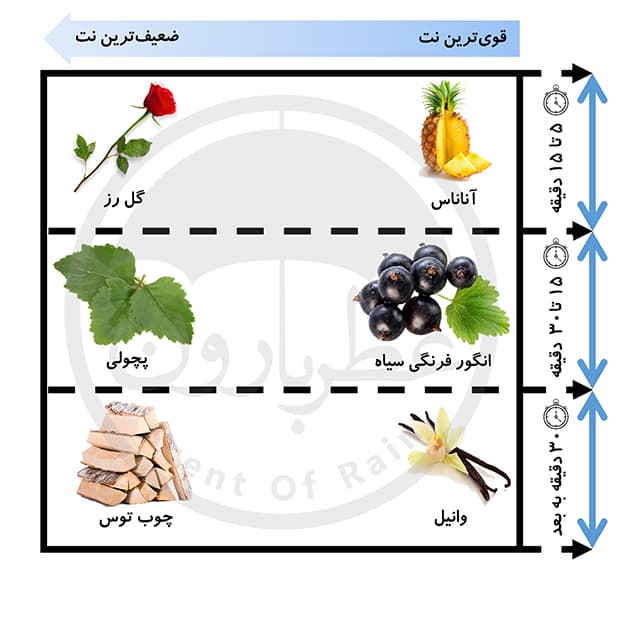 ادوپرفیوم مردانه سواق نوید محمدزاده حجم 100 میلی لیتر — تصویر ۸