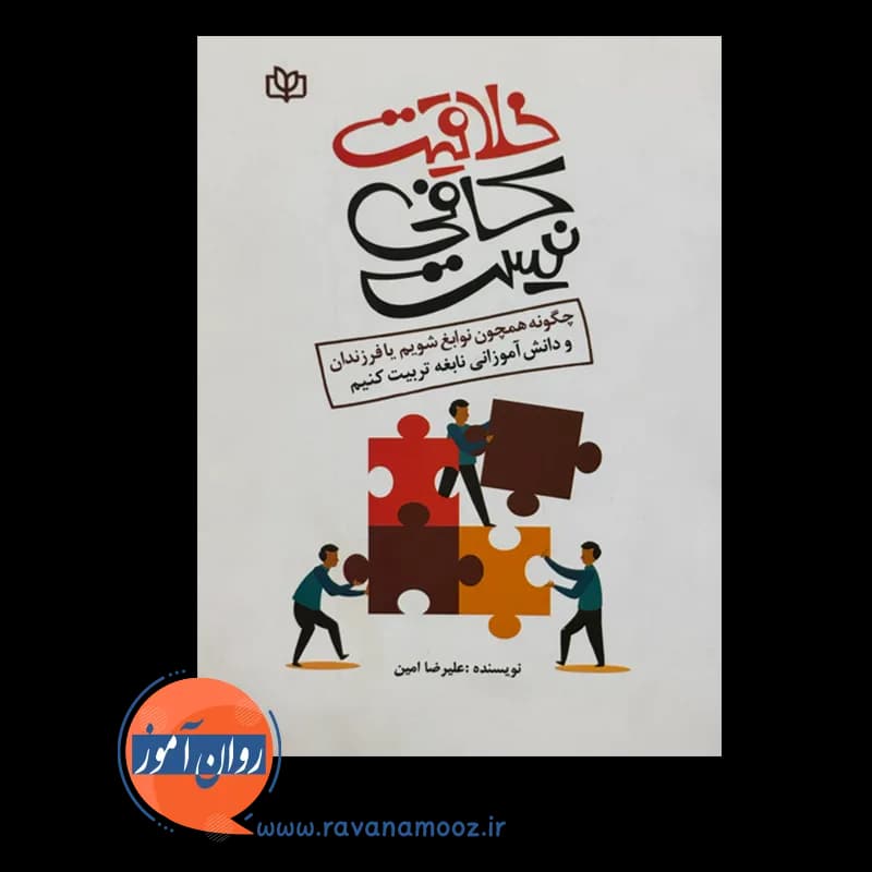 خلاقیت کافی نیست – علیرضا امین — تصویر ۳