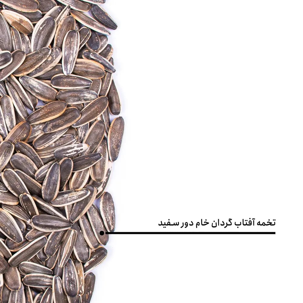 تخمه آفتابگردان خام دور سفید اعلی — تصویر ۵