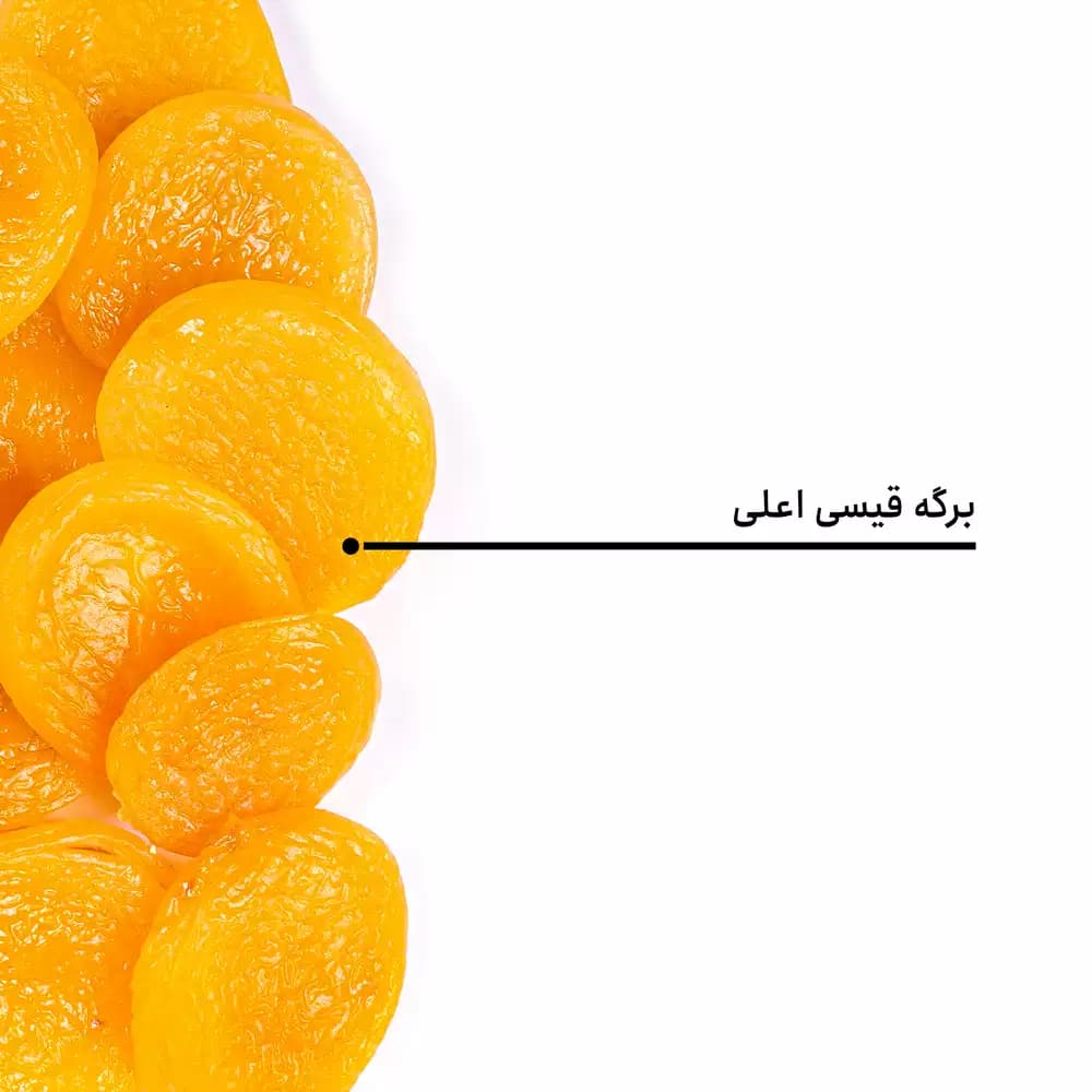 برگه قیسی اعلی — تصویر ۵