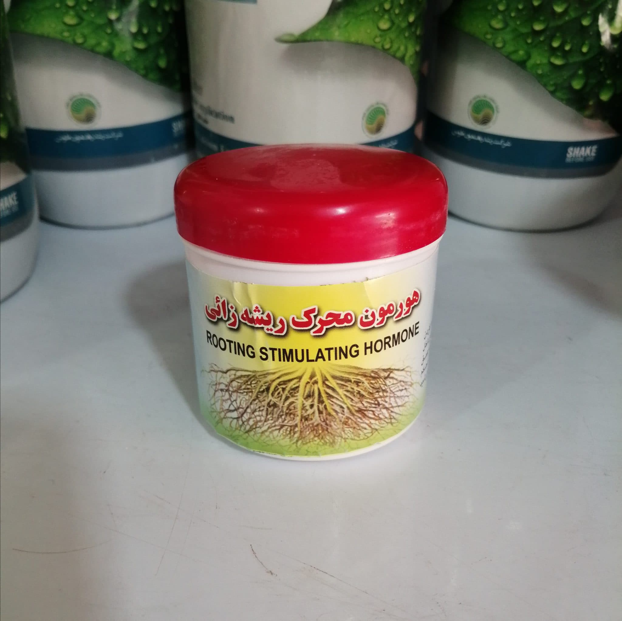هورمون محرک ریشه زائی
