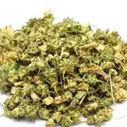دمنوش خارخاسک 100 گرمی — تصویر ۵