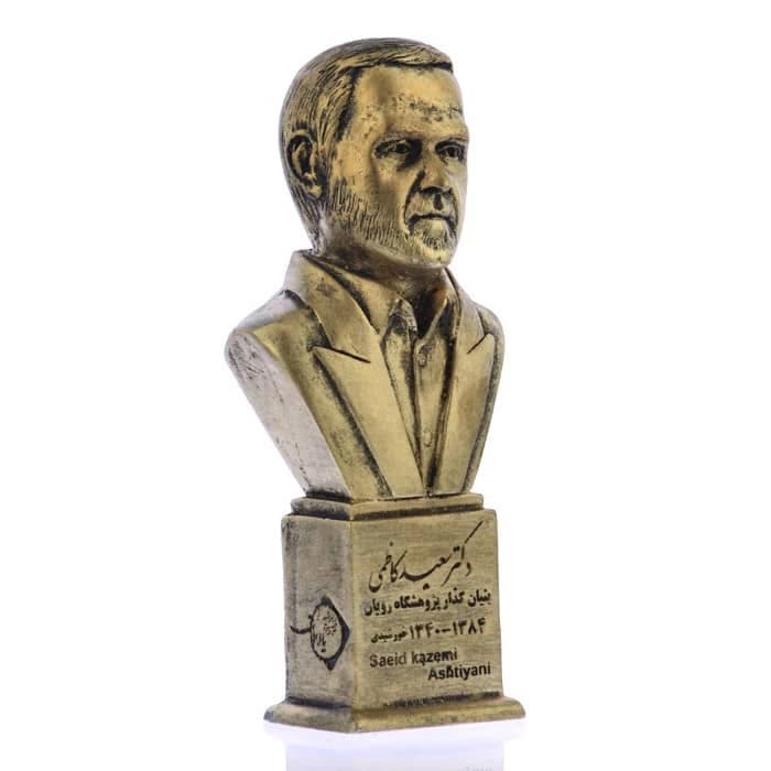 سردیس دکتر سعید کاظمی — تصویر ۸