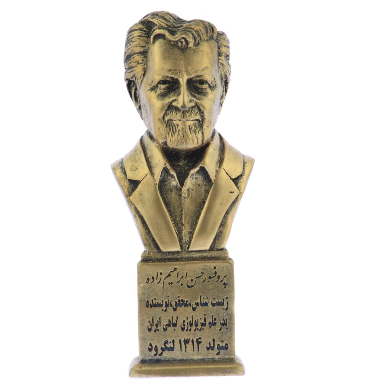سردیس پروفسور حسن ابراهیم زاده