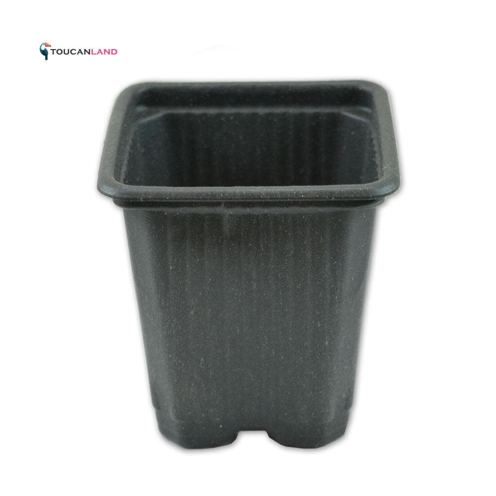 گلدان ژله ای مربع نشایی سایز 8 بسته 10 عددی