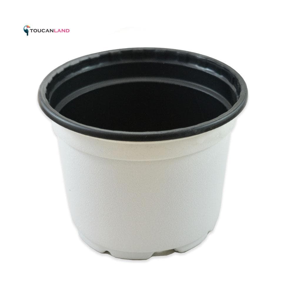 گلدان ژله ای سایز 12 کوتاه بسته 10 عددی — تصویر ۱۰