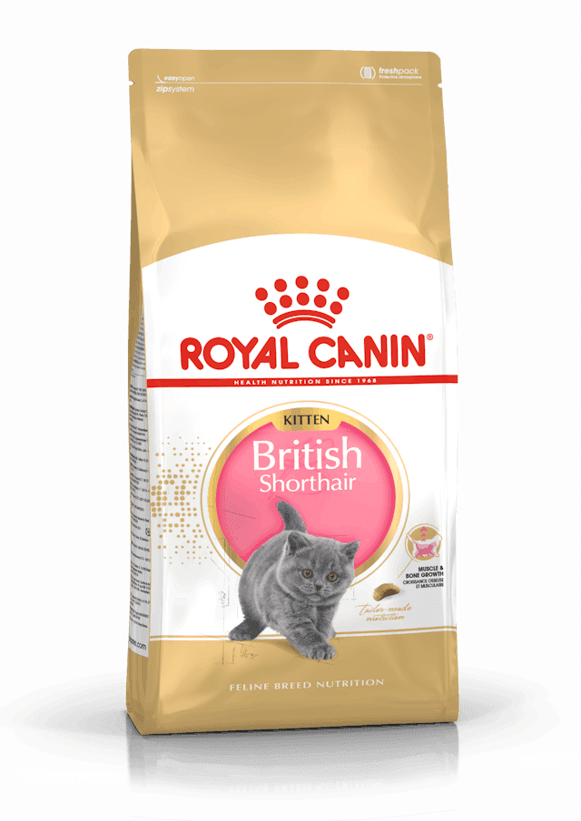 غذای خشک گربه کیتن بریتیش رویال کنین وزن 2 کیلوگرم | Royal Canin british kitten 2kg