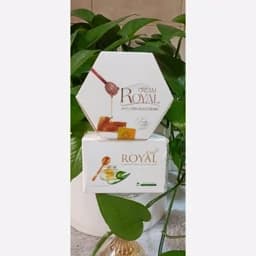 کرم ژل رویال آوا طب اصلی اصلی — تصویر ۵