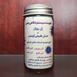 معجون تقویت سیستم ایمنی و دفاعی بدن (ژل رویال و عسل آویشن) — تصویر ۵