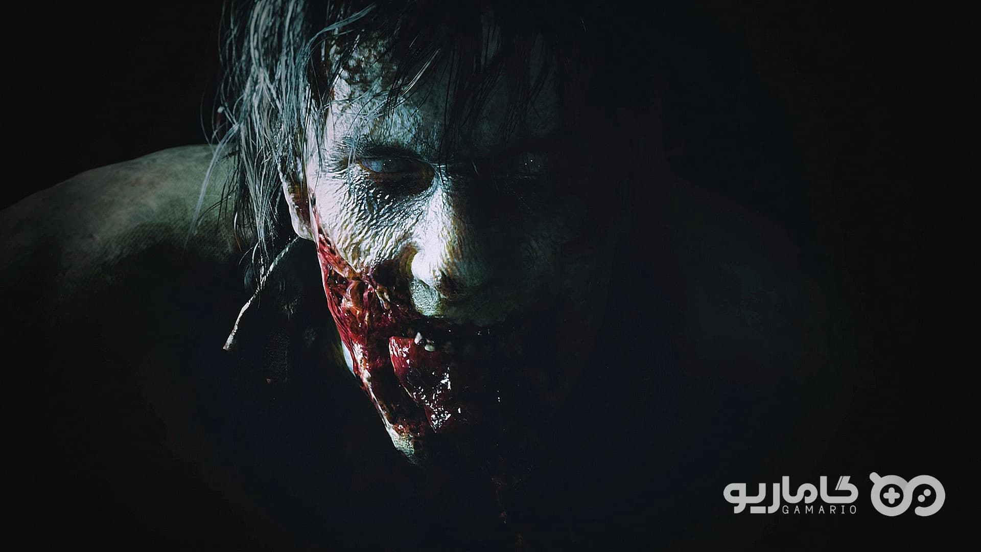 اکانت قانونی RACCOON CITY EDITION — تصویر ۱۱