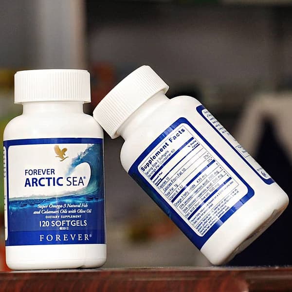 Forever Arctic Sea آرکتیک سی فوراور — تصویر ۳