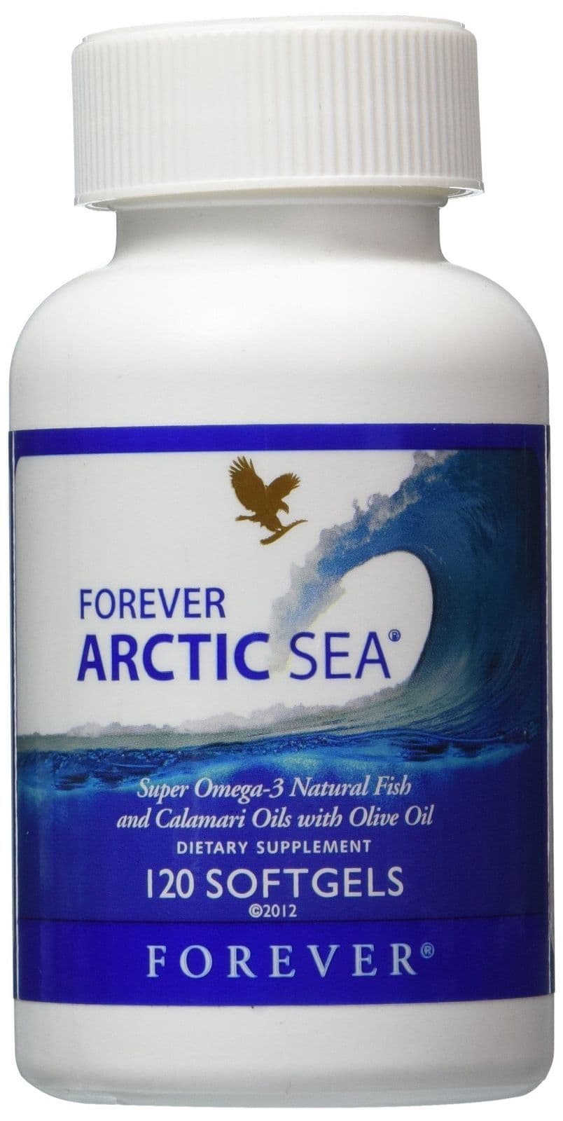 Forever Arctic Sea آرکتیک سی فوراور — تصویر ۷