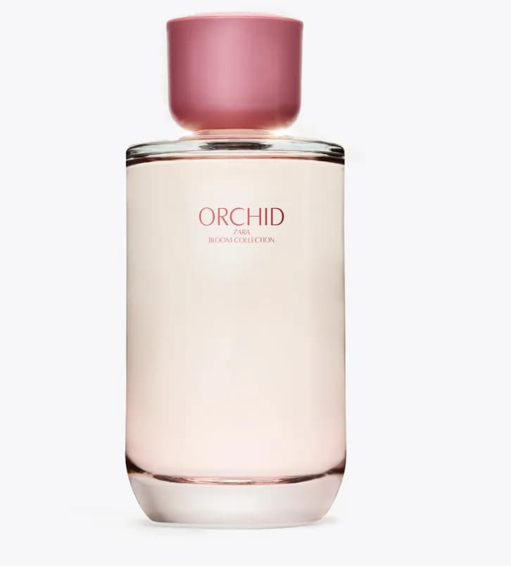 عطر ارکید زارا ۱۸۰ میل | Orchid Zara 180ml