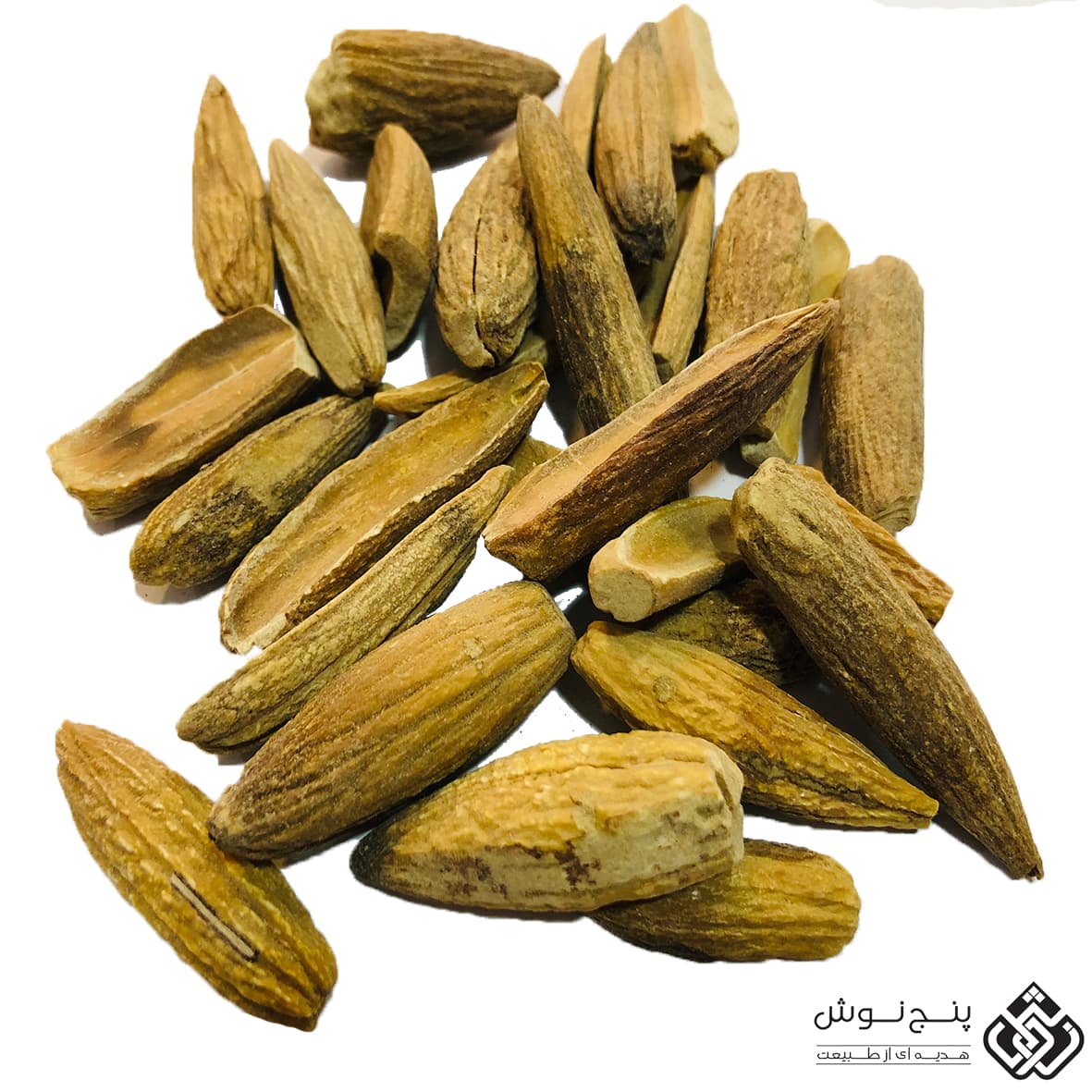 میوه بلوط 200گرمی — تصویر ۲