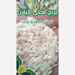 برنج محلی معطر گیلان (5 کیلو) ارسال رایگان — تصویر ۳