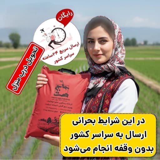 برنج هاشمی معطر آستانه اشرفیه (فوق اعلاء) 50 کیلو عمده 5کیسه10کیلویی
