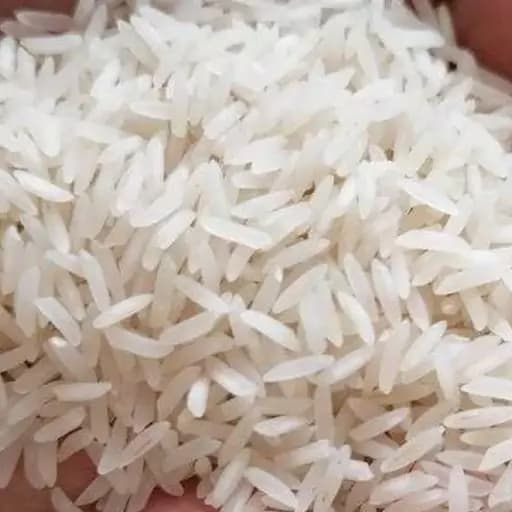 برنج طارم هاشمی( فریدونکنار)