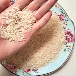 برنج طارم هاشمی اعلا امساله فریدونکنار 10 کیلویی — تصویر ۳