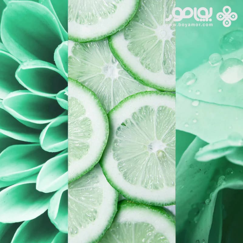 اسپری دئودورانت زنانه 8X4 مدل FRESH LIME حجم 150 میل — تصویر ۱۰