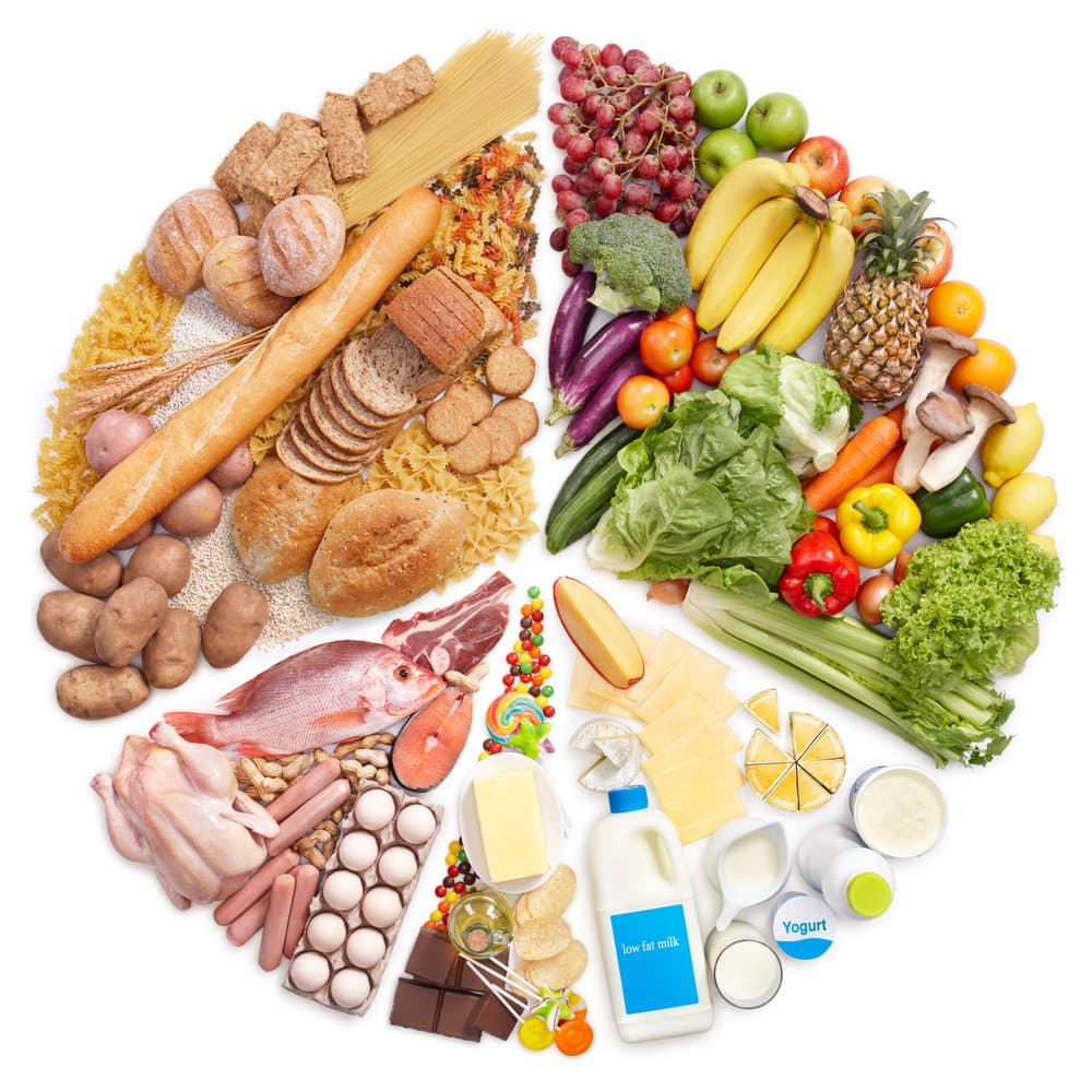 بهداشت مواد غذایی – دانلود