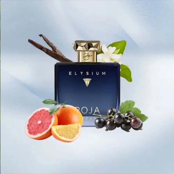 عطر روژا داو الیزیوم پور هوم پارفوم کلون (لوزی) — تصویر ۶