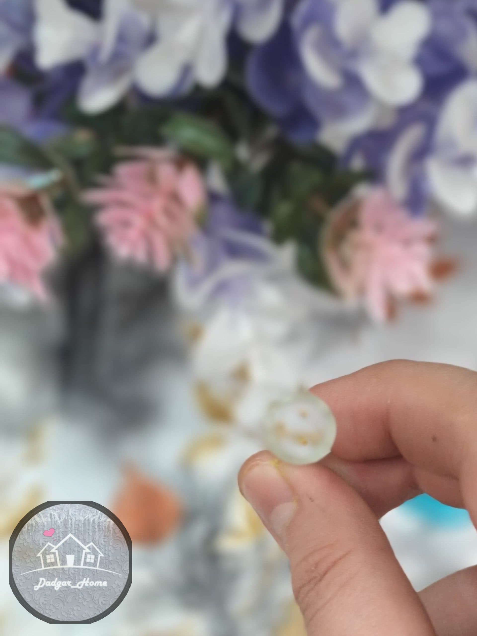 نی پیرکس ساده — تصویر ۵