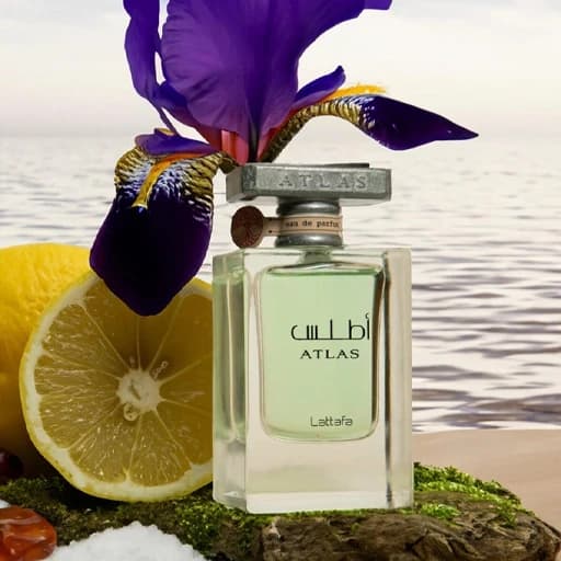 عطر ادکلن اطلس لطافه رایحه مگاماره | Lattafa Atlas Perfumes — تصویر ۱۲