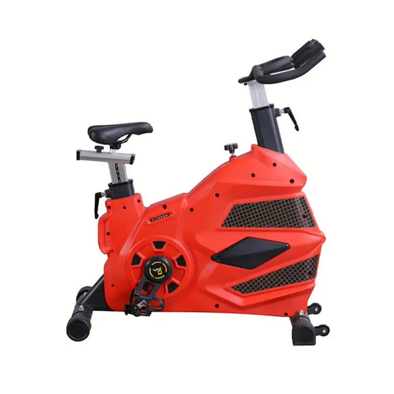 دوچرخه ثابت باشگاهی لیدر اسپرت 8416 Leader sport