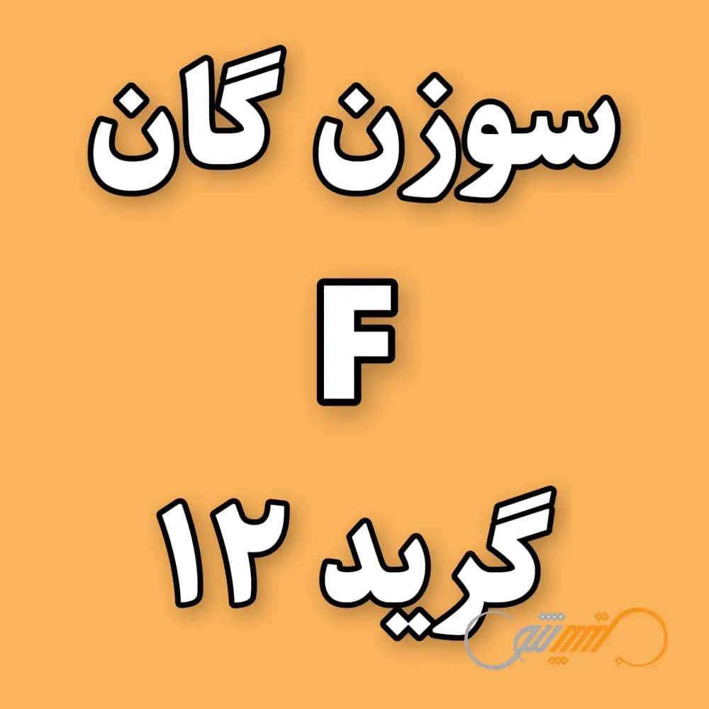 سوزن تتو گان F گرید 12 — تصویر ۳