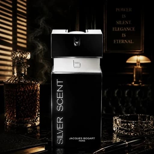 عطر ادوتویلت مردانه سیلور سنت بوگارت — تصویر ۵