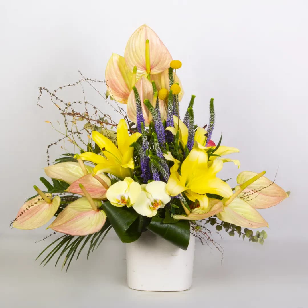 گلدان گل آنتوریوم و لیلیوم کد 1920|باختر