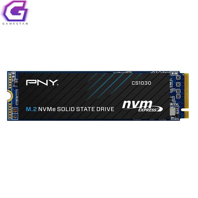اس اس دی پی ان وای PNY CS1030 M.2 SSD 256GB