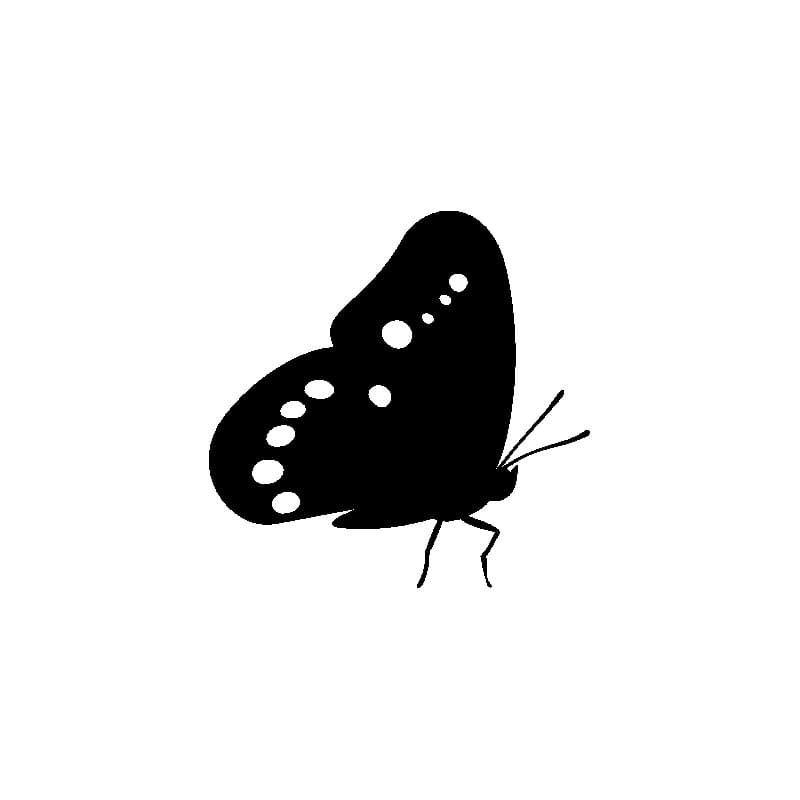 برچسب طرح پروانه کد 2729