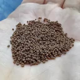 غذای عمومی زیرآبی ماهیان آکواریوم 100 گرم(1 میلی) — تصویر ۳