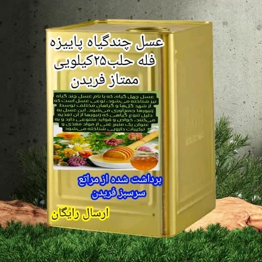 عسل چندگیاه پاییزه فله حلب25کیلویی ممتازفریدن(ارسال رایگان)