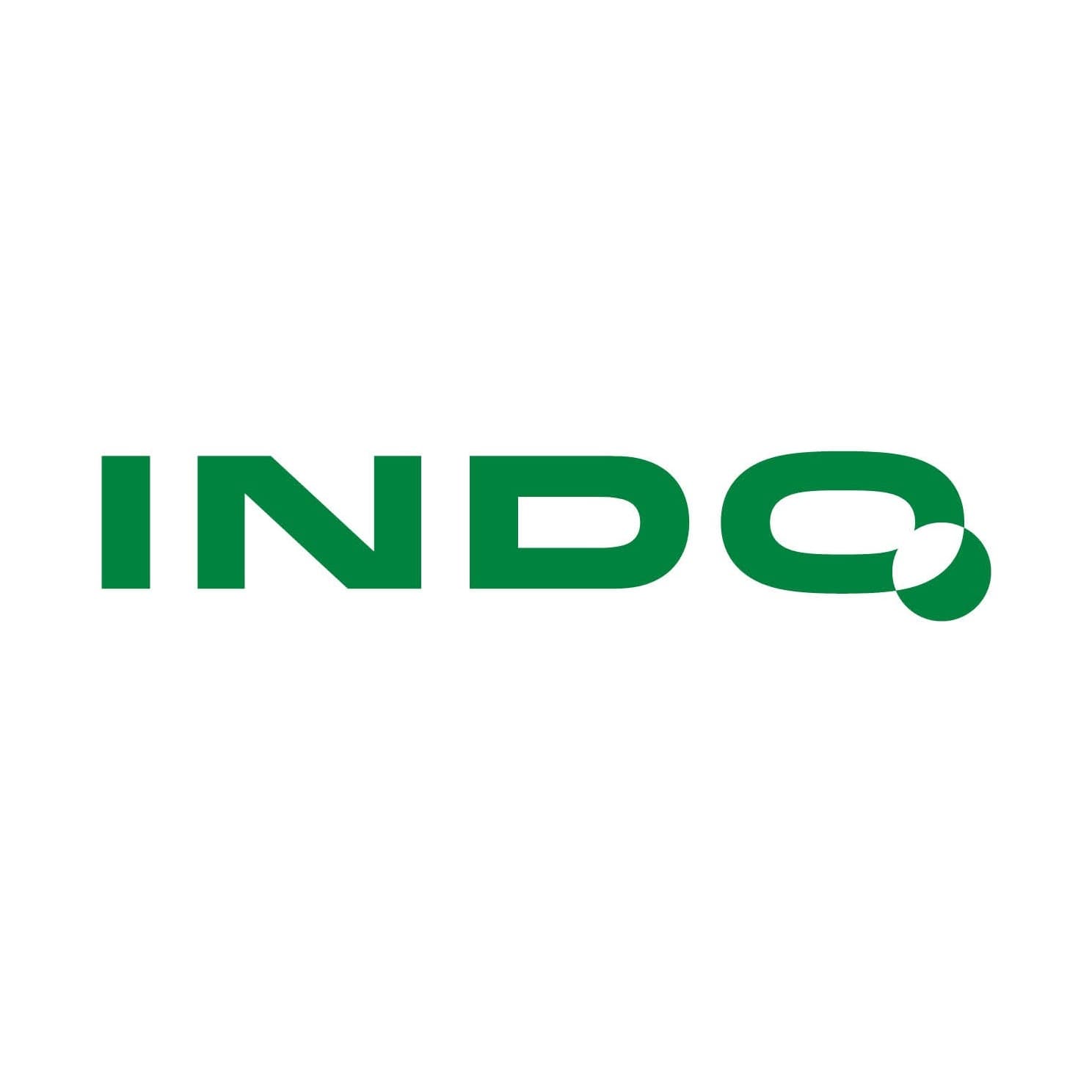 عدسی فوق نازک آسفریک ایندواورگانیک 1.67 نچرال | INDO AS Indorganic 1.67 Natural — تصویر ۴