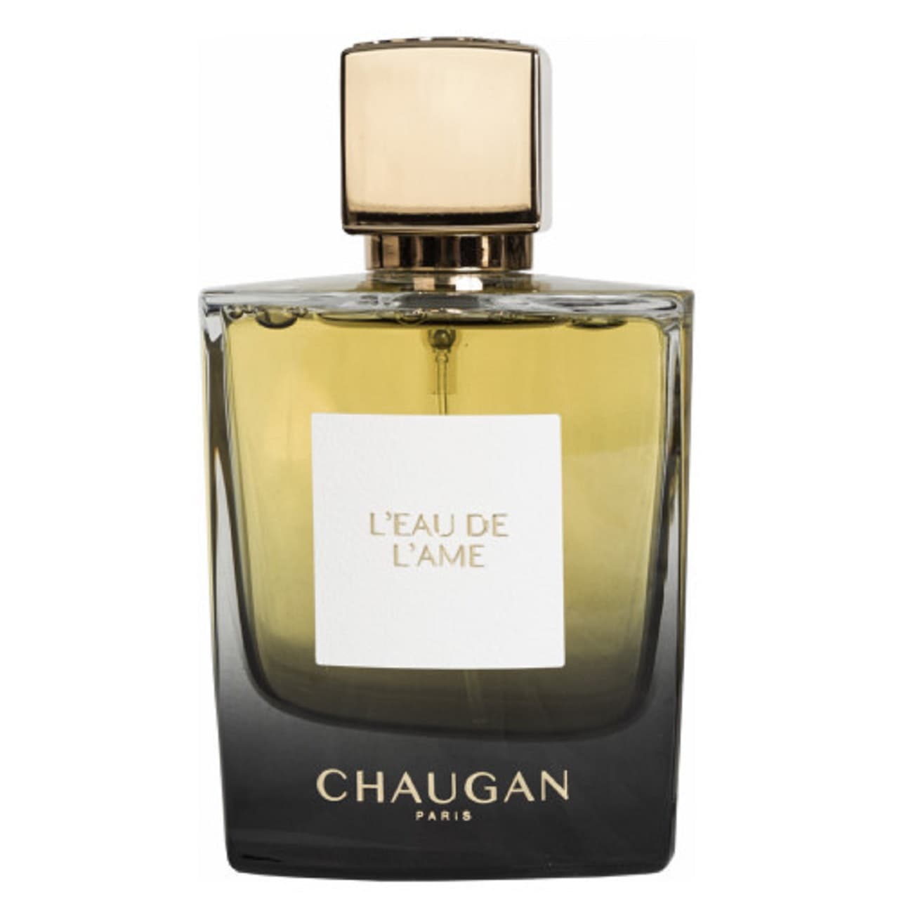 ادوپرفیوم چوگان مدل L’EAU DE L’AME