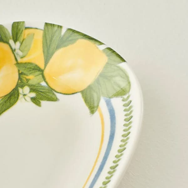 ست 4 عددی دیس سرو بلا میسون مدل Lemoncello — تصویر ۶