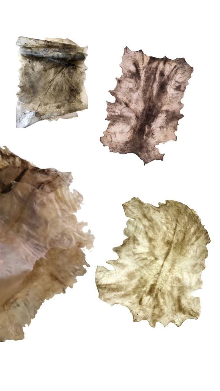 پوست طبیعی (بره تو دلی)