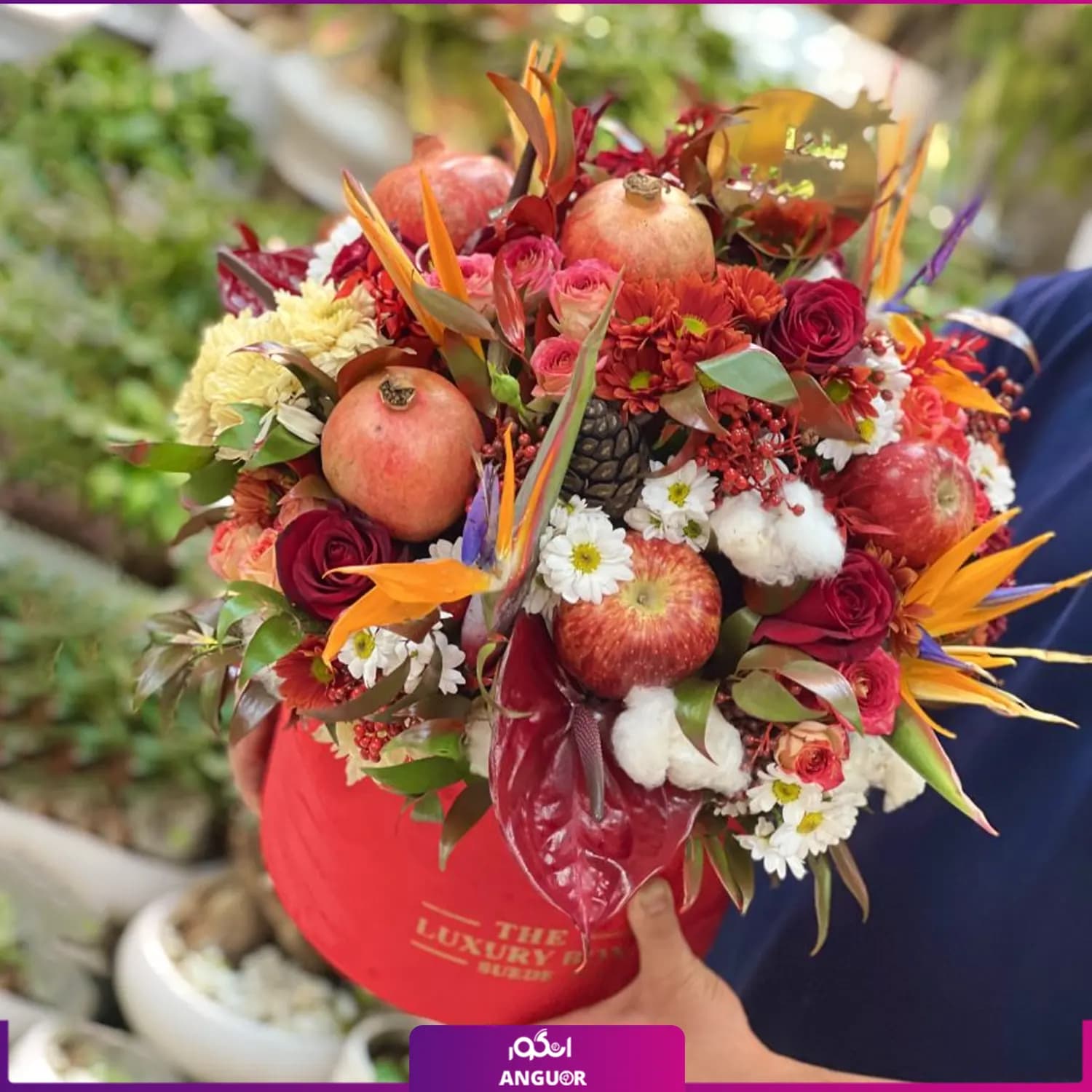 باکس یلدایی بارلی — تصویر ۳
