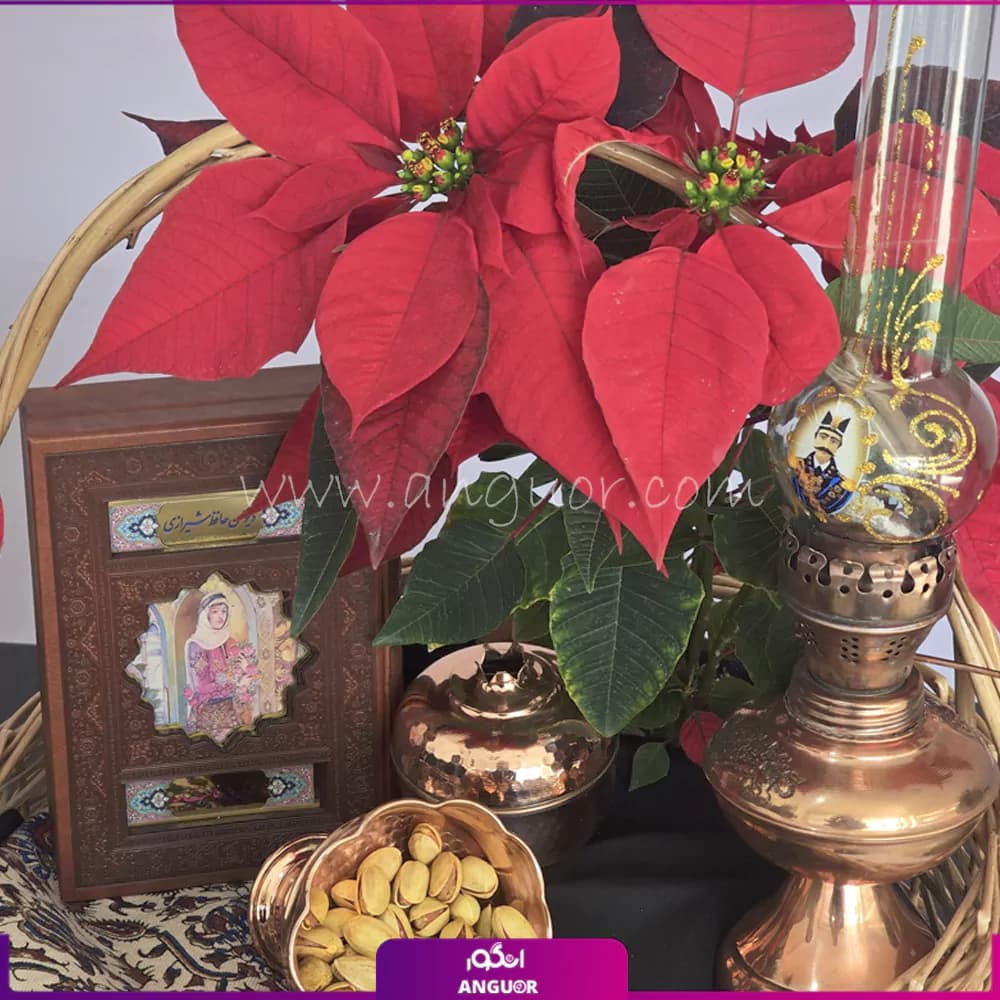 هدیه یلدا؛ رنگی از طراوت و زیبایی — تصویر ۶