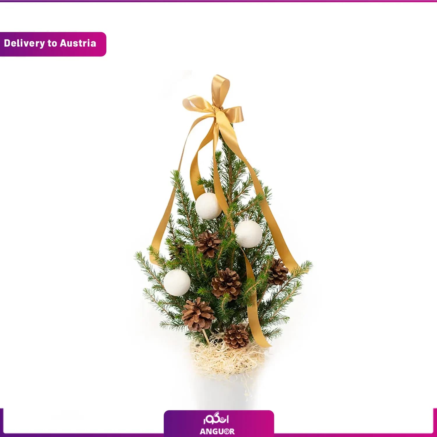 Mini Christmas Tree (ارسال گل به اتریش) — تصویر ۵
