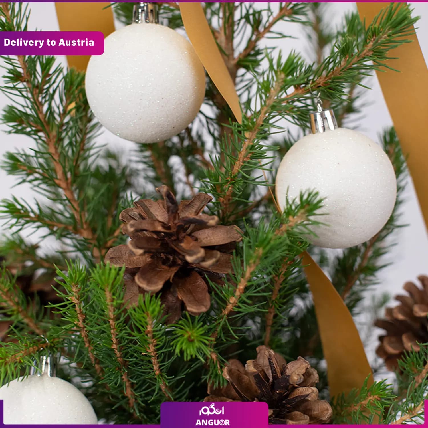 Mini Christmas Tree (ارسال گل به اتریش) — تصویر ۳